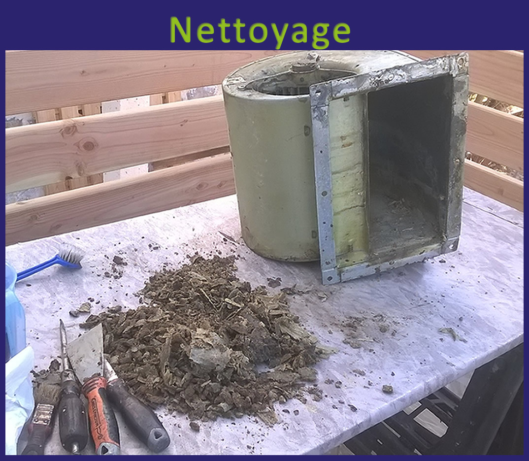 Severac nettoyage - moteur demonter nettoyage